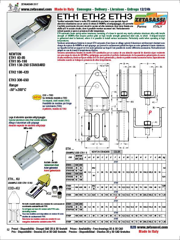 LINEAR TENSIONER